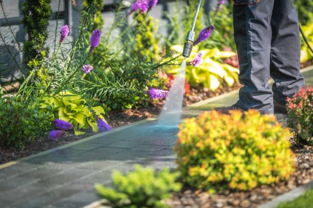 Best Spring Cleaning  in Ringgold, LA