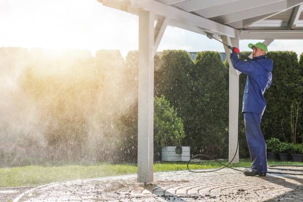 Best Solar Panel Cleaning  in Ringgold, LA